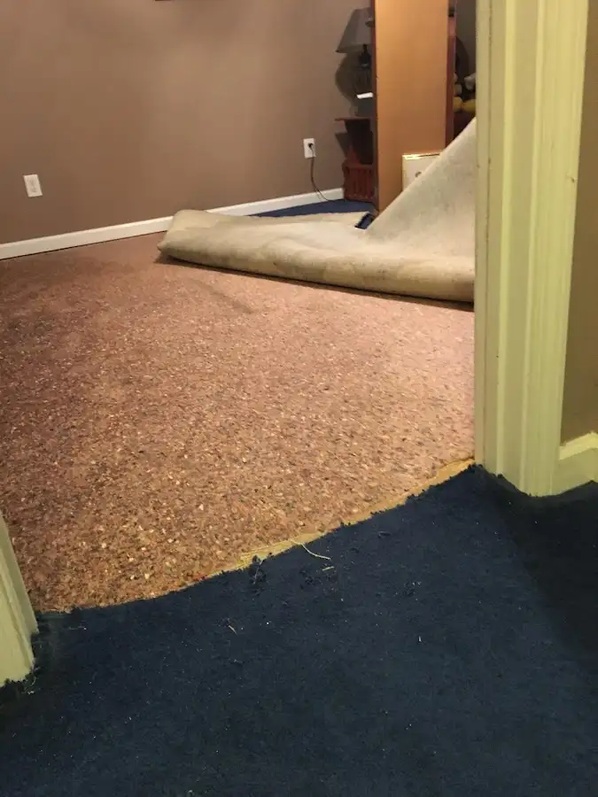 Carpet pad removal revealing water damage during Drying & Dehumidification in Corcoran